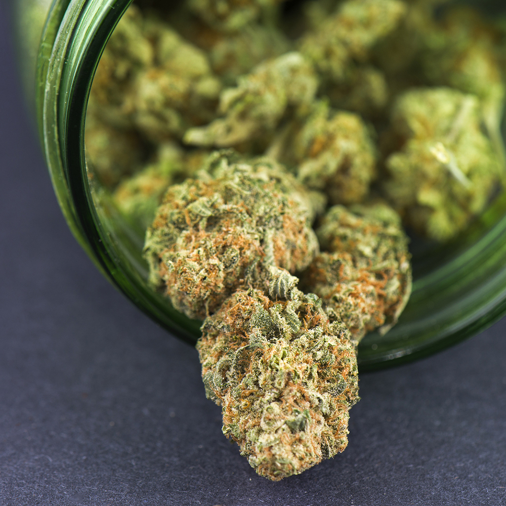 cannabis bud close-up
