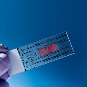dhm-webinar-featuredimage