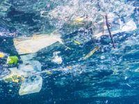 microplastics
