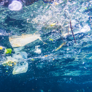 microplastics