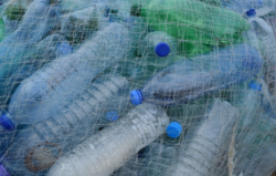 plastic bottles microplastics