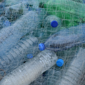 plastic bottles microplastics