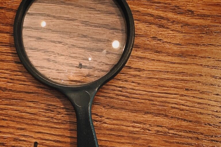 magnifying glass