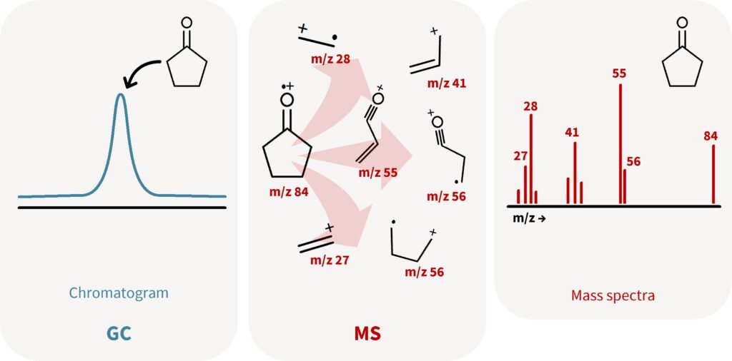 OUPLC-Q-TOF/MS chromatograms and annotation of the molecular